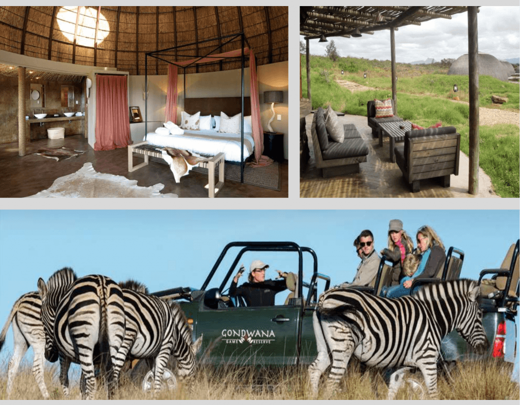 golfreise südafrika safari